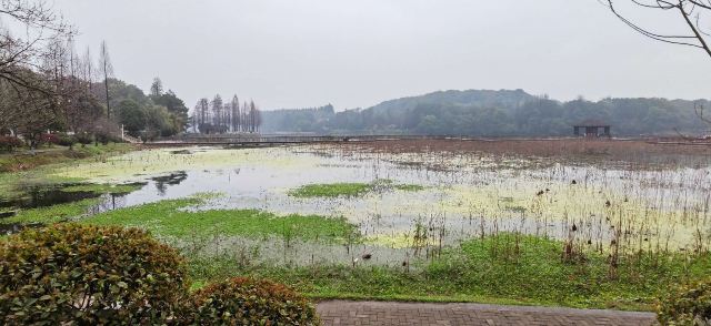 南湖景区旅行图片 11