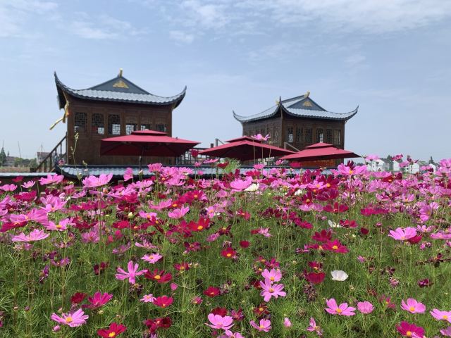 上海吕巷水果公园旅行图片 2