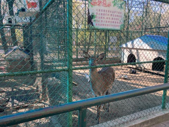 平房公园旅行图片 9