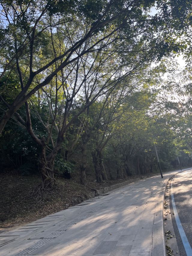 尖岗山公园旅行图片 2