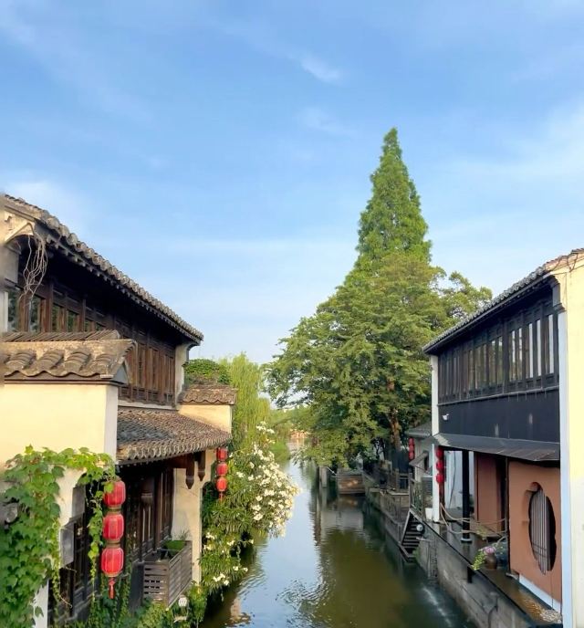 荡口古镇旅行图片 1