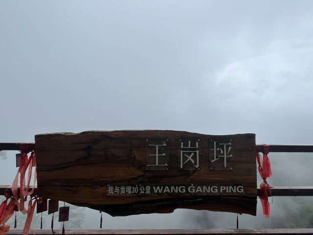 王岗坪旅游景区-露营区旅行图片 3