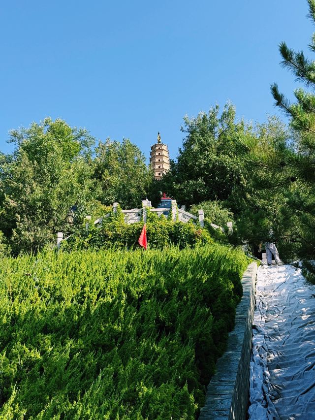 白塔山公园旅行图片 3