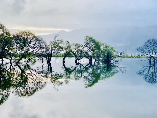 黄龙潭公园旅行图片 4