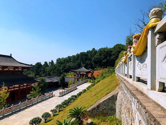 潜山国家森林公园旅行图片 2
