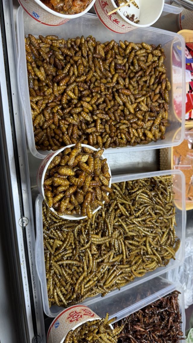 三馆广场旅行图片 5