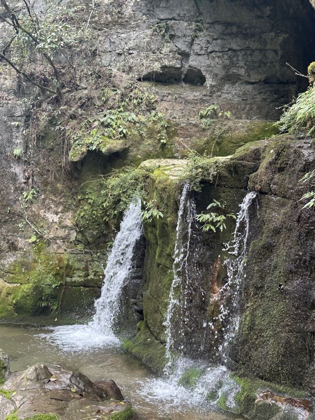 武隆喀斯特旅游区旅行图片 2