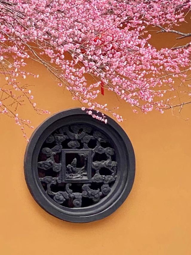 湖州铁佛寺旅行图片 3
