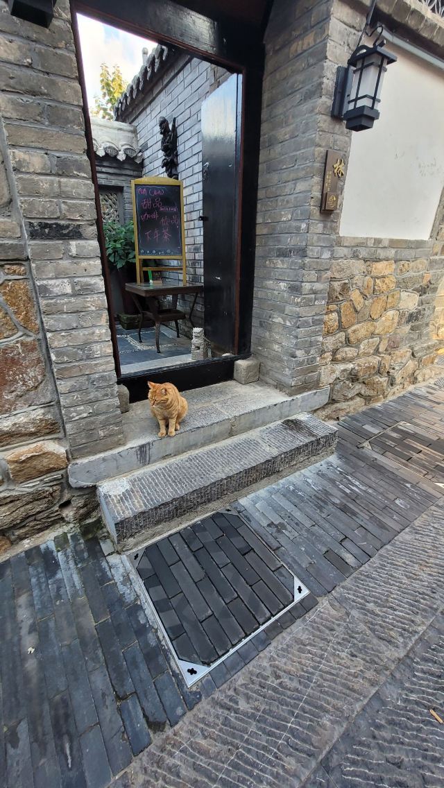 所城里大街57号旅行图片 2