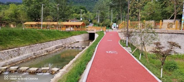 中国·秦岭·竹海旅行图片 4