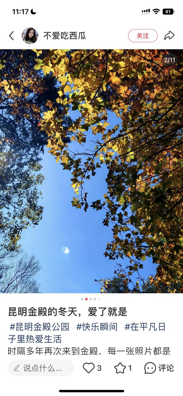 金殿风景名胜区旅行图片 2