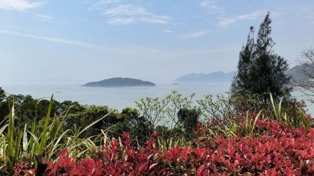 东壁灯塔旅行图片 2