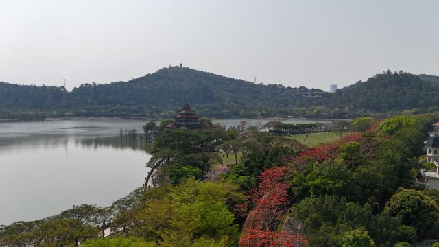 顺峰山公园旅行图片 2