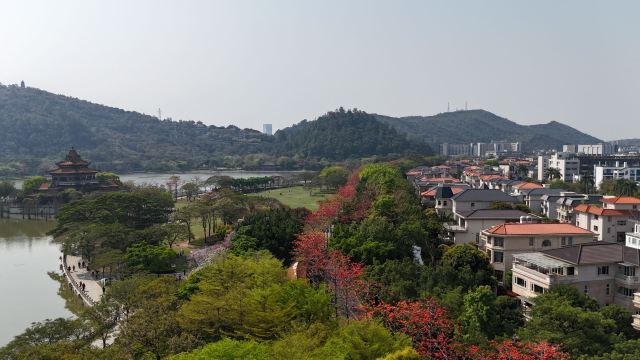 顺峰山公园旅行图片 1