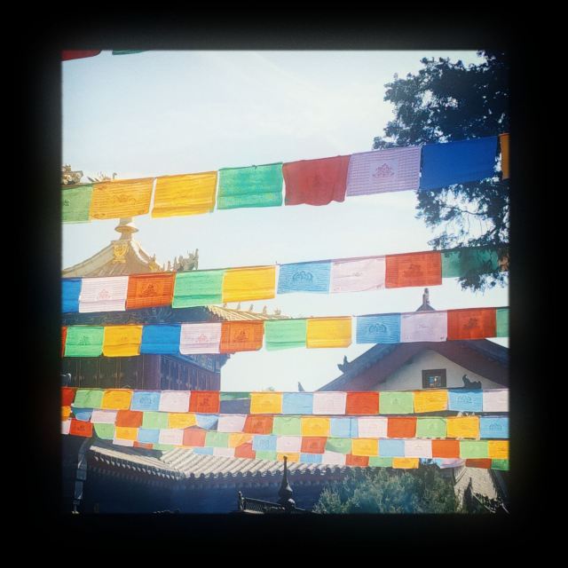 广仁寺旅行图片 5
