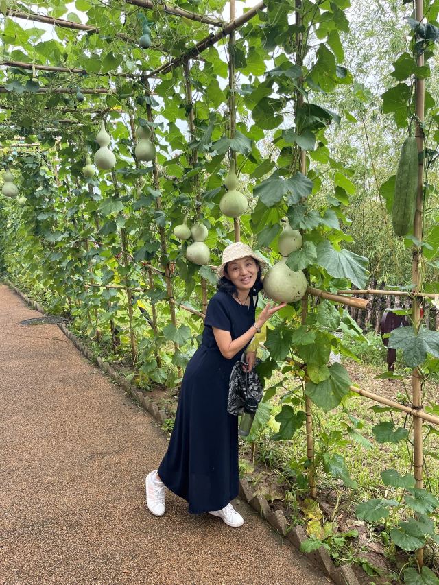 白鹿原影视城旅行图片 8