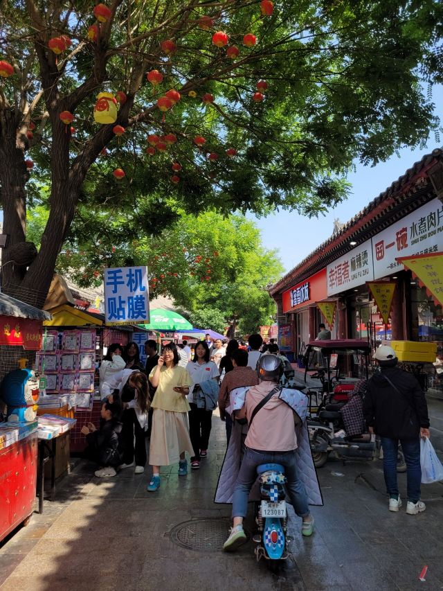 定州署旅行图片 3