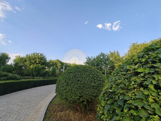 凉州植物园旅行图片 6