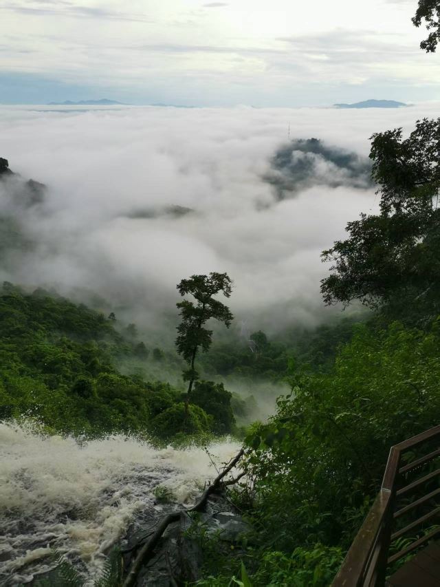 海南百花岭热带雨林文化旅游区-小卖部旅行图片 2