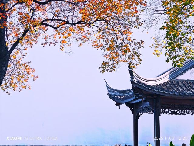 莫愁湖公园旅行图片 2