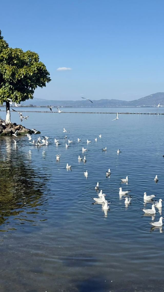 蟠溪村S湾旅行图片 5