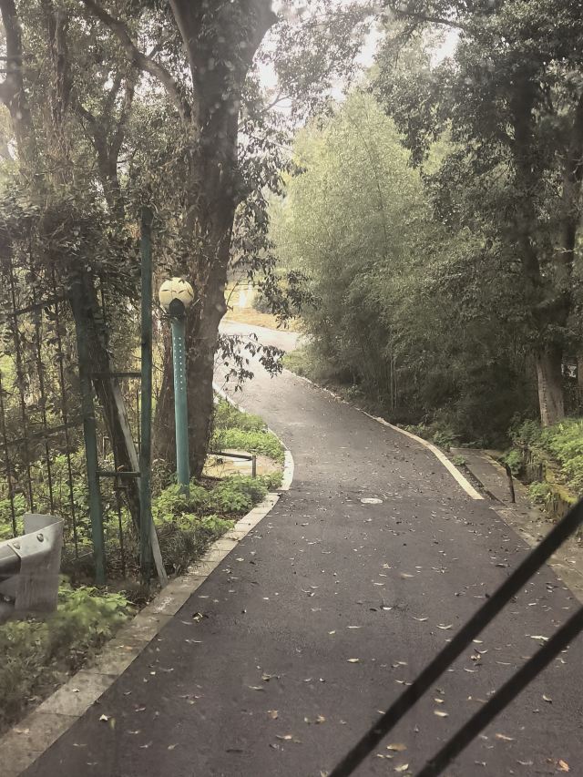 君山岛景区旅行图片 3