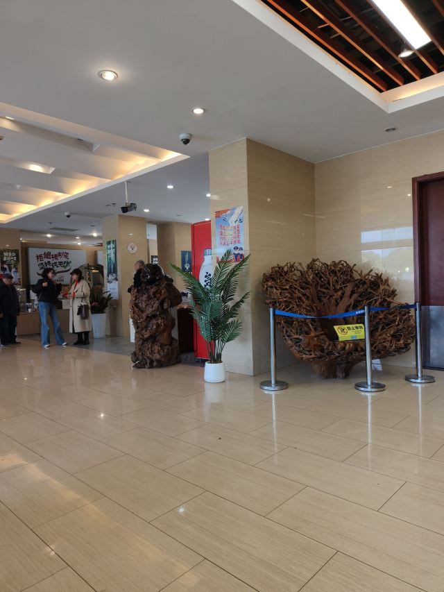 茅山森林世界旅行图片 2