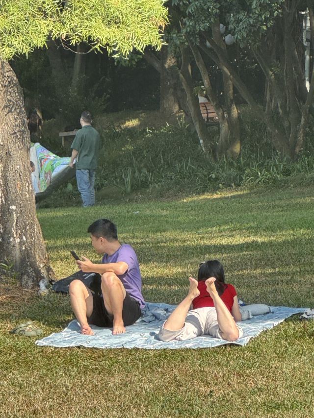 中山公园旅行图片 11