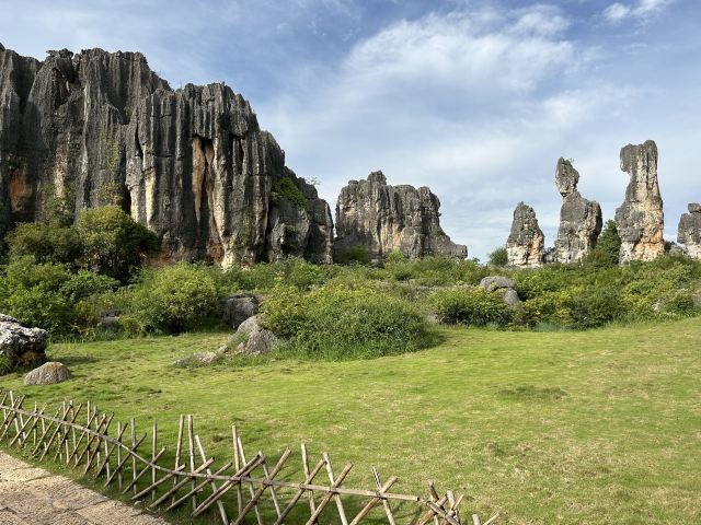 乃古石林风景区旅行图片 3