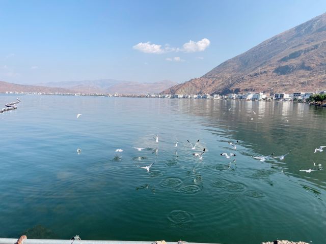 小普陀旅行图片 6