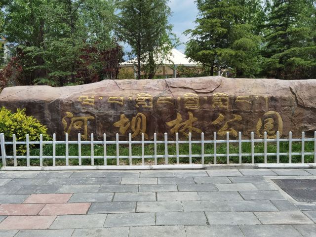 河坝林公园旅行图片 1