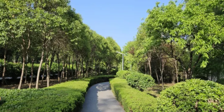 清潩河千畝遊園