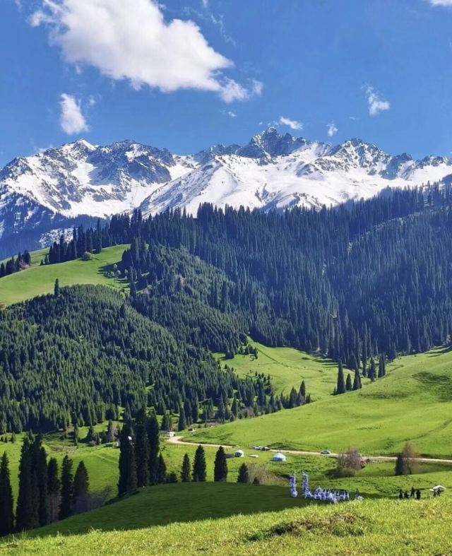 恰西草原风景旅游区旅行图片 2
