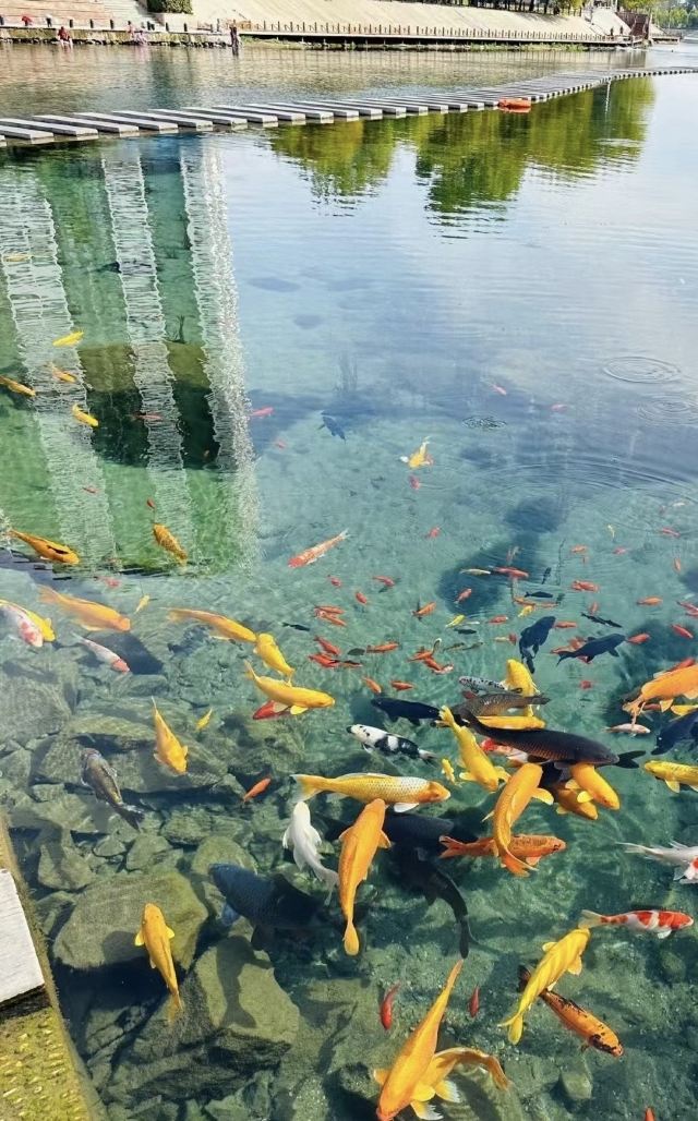 黑龙洞旅行图片 1