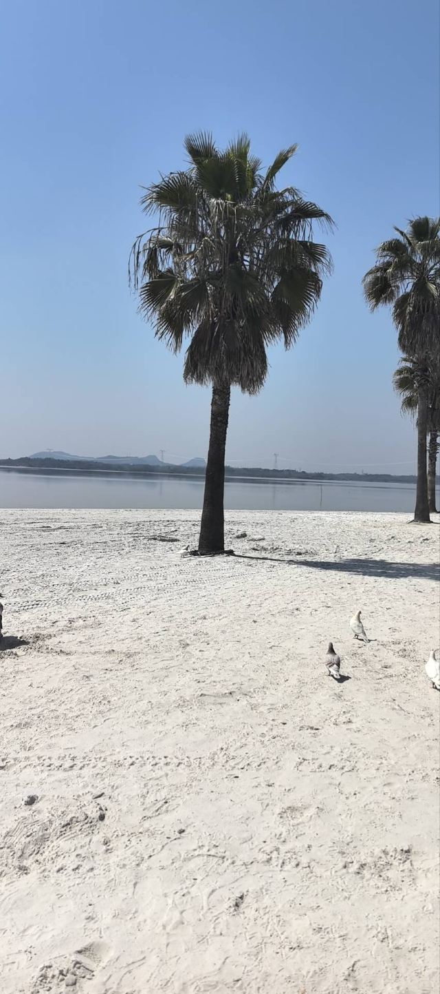 蜜泉湖旅游度假区旅行图片 1