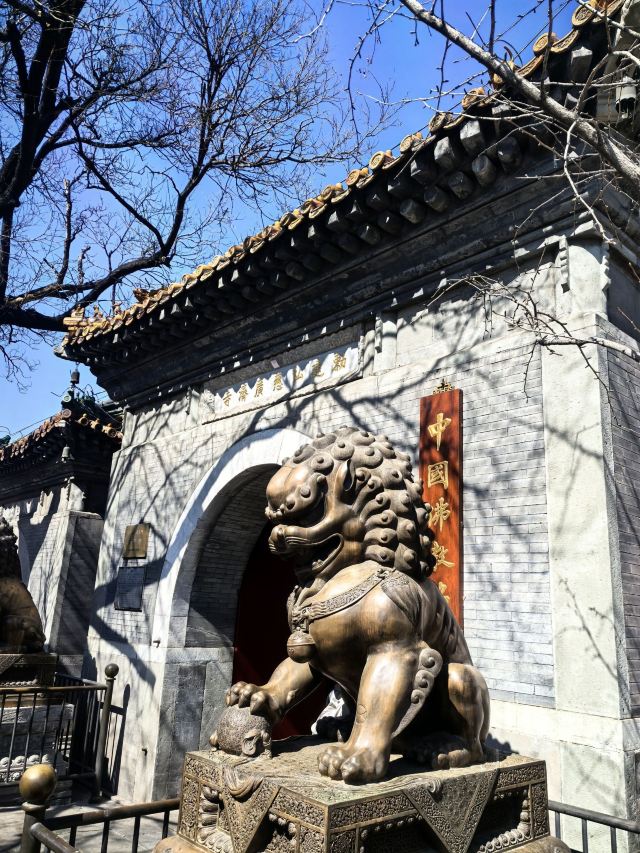 广济寺旅行图片 1