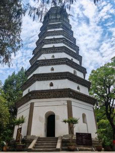 白塔-阆中-WGY殿下