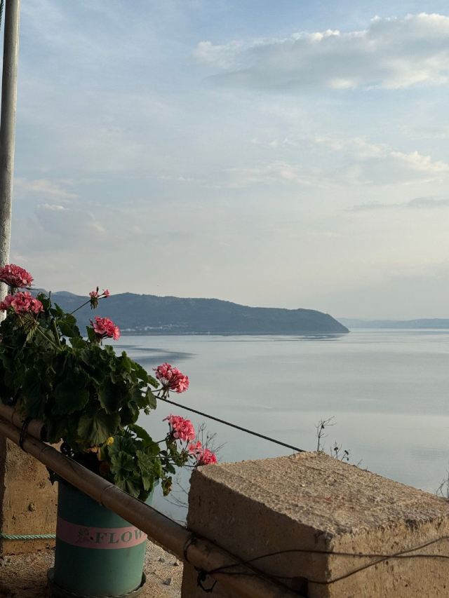 抚仙湖网红s湾旅行图片 2