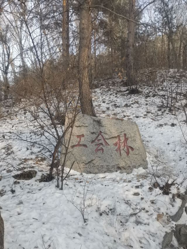 翠峰山公园旅行图片 4