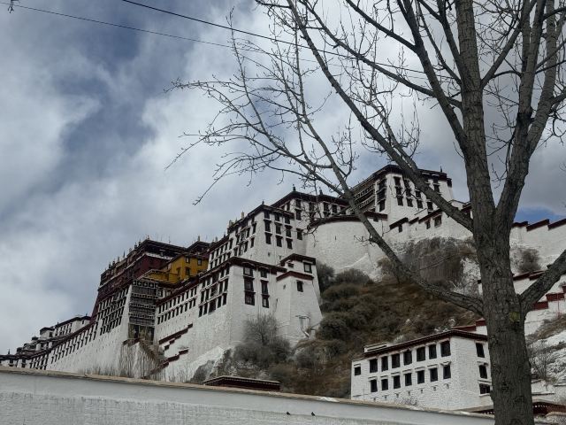 布达拉宫旅行图片 2