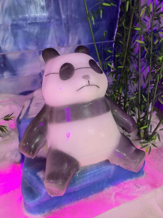 岳阳中华大熊猫苑旅行图片 1