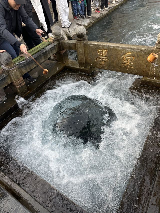 清照泉城·明水古城国际泉水旅游度假区旅行图片 2