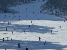 利川市-鹏少0125