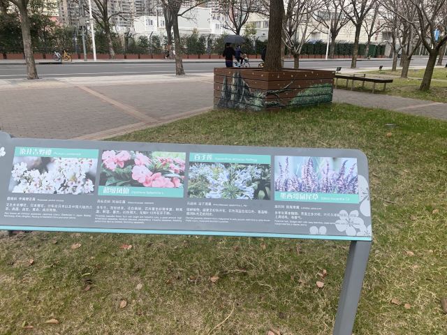 琴键春园旅行图片 1