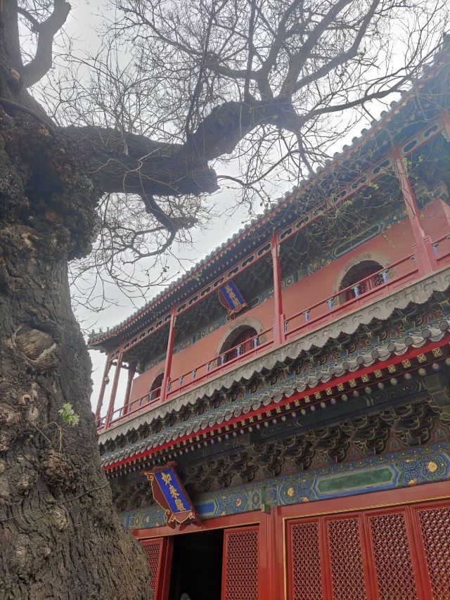 智化寺旅行图片 12