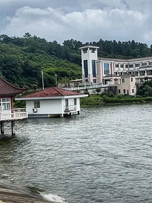 蟠龙湖森林公园旅行图片 1