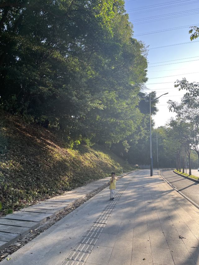 尖岗山公园旅行图片 1