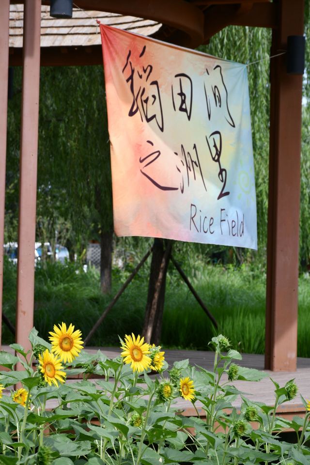 清河之洲旅行图片 9