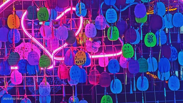 西溪古村旅行图片 8