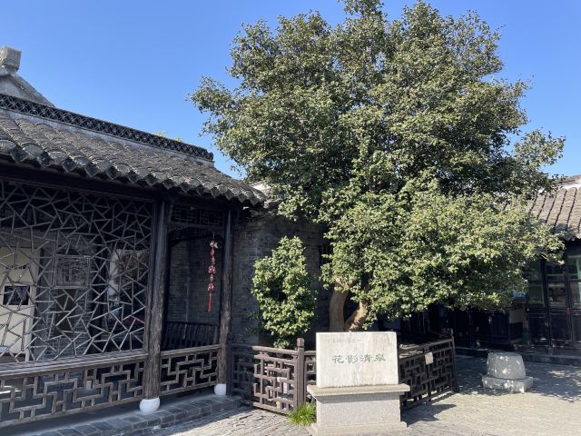 溱潼古镇旅游区旅行图片 2
